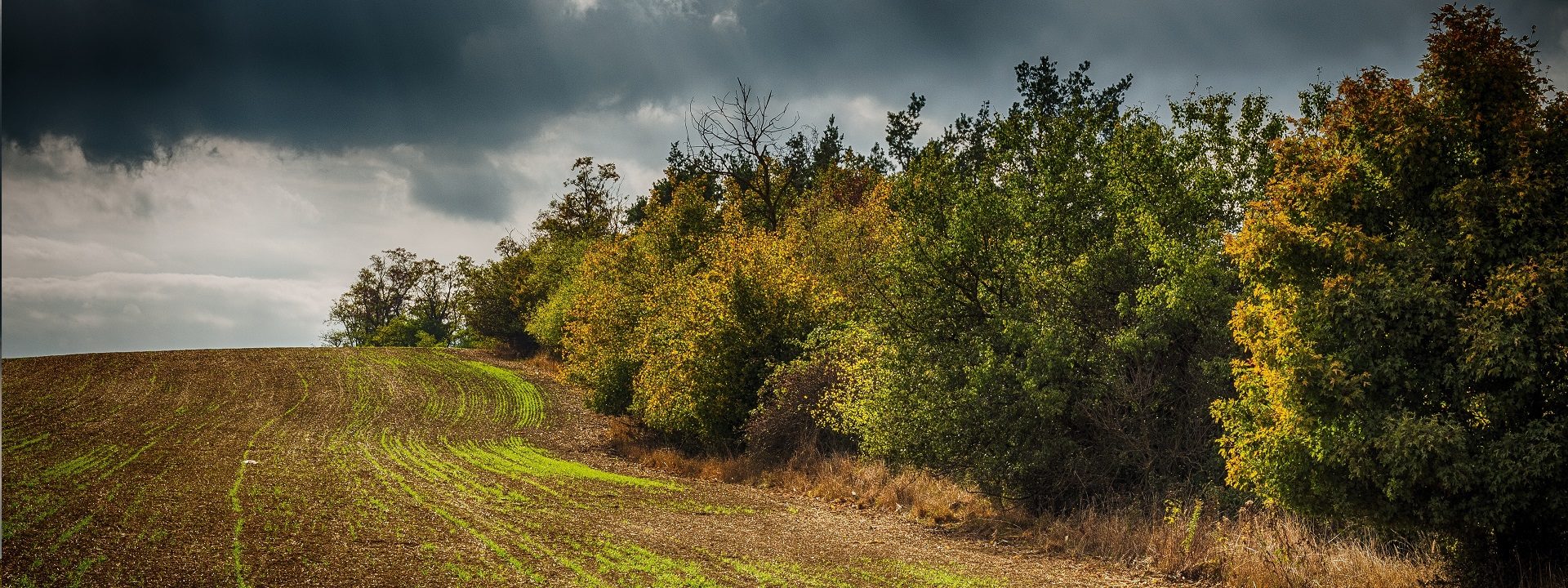 Agroturystyka Parczew